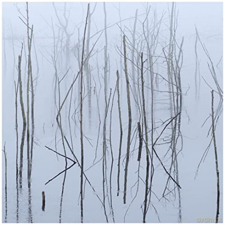 Olhava: Frozen Bloom [CD]