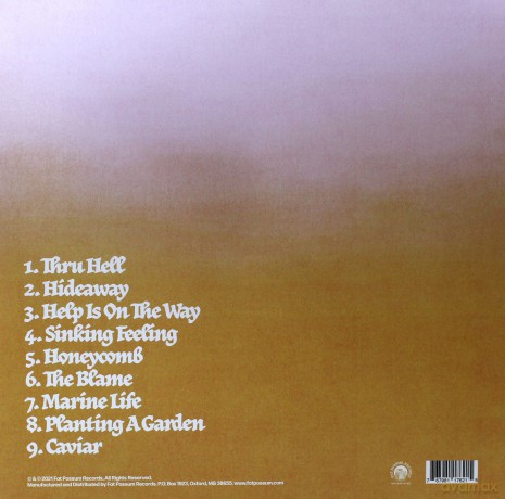 Wavves: Hideaway [Winyl]
