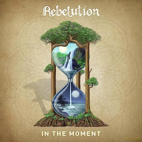 Rebelution: In The Moment [2xWinyl]
