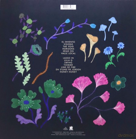 Jose Gonzalez: Local Valley [Winyl]