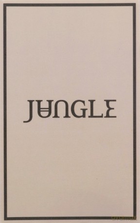 Jungle: Loving In Stereo [KASETA]