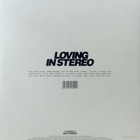 Jungle: Loving In Stereo [Winyl]