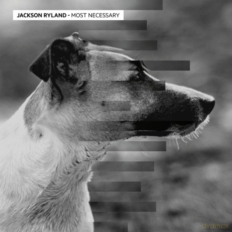 Jackson Ryland: Most Necessary EP [Winyl]