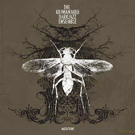Kilimanjaro Darkjazz Ensemble: Mutations [CD]