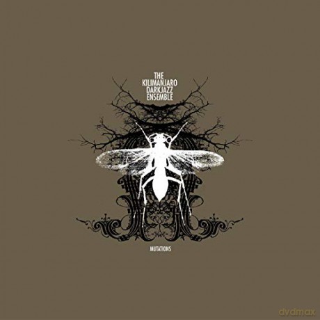 Kilimanjaro Darkjazz Ensemble: Mutations [Winyl]