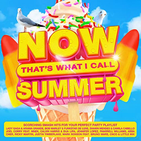 Now That's What I Call Summer [4CD]