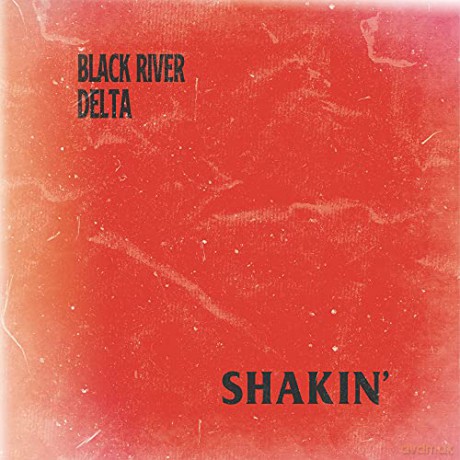 Black River Delta: Shakin' [Winyl]