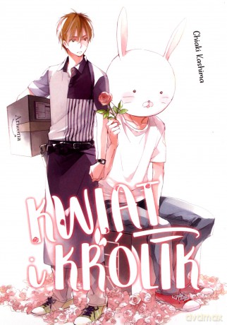 Kwiat i królik - Chiaki Kashima [KOMIKS]