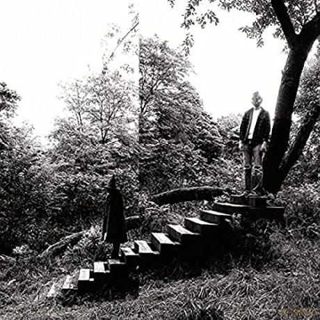Timber Timbre: Timber Timbre [Winyl]
