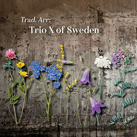 Trio X Of Sweden: Trad. Arr: Trio X Of Sweden [CD]