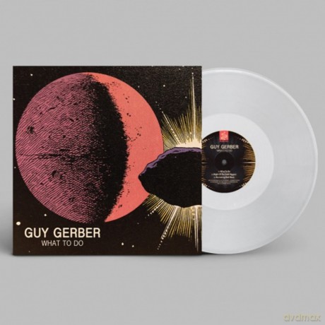 Guy Gerber: What To Do (Clear) [Winyl]