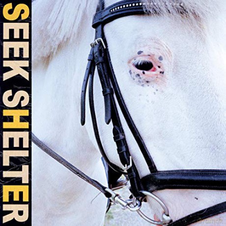 Iceage: Seek Shelter (digipack) [CD]