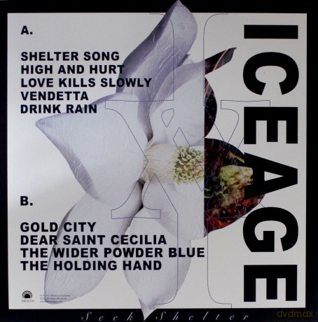 Iceage: Seek Shelter [Winyl]
