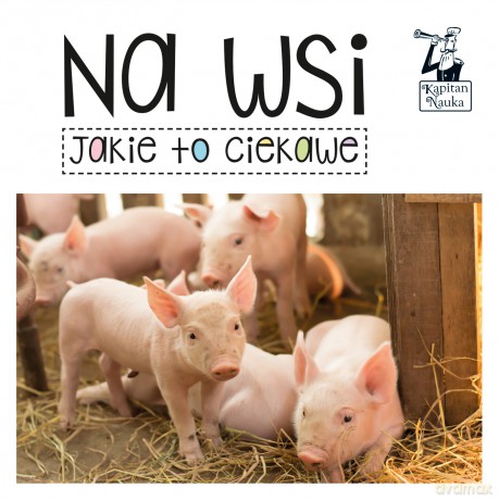 Na wsi. Jakie to ciekawe. Kapitan Nauka - Opracowanie zbiorowe [KSIĄŻKA]