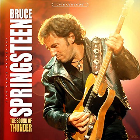 Bruce Springsteen: The sound of thunder [Winyl]