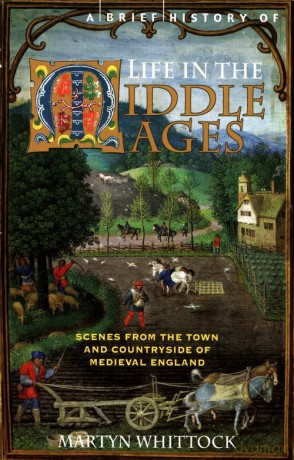 A Brief History of Life in the Middle Ages - Martyn Whittock [KSIĄŻKA]