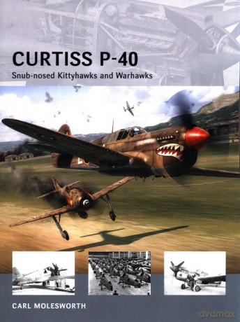 Curtiss P-40 - Carl Molesworth [KSIĄŻKA]