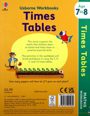 Usborne Workbooks Times Tables [KSIĄŻKA]