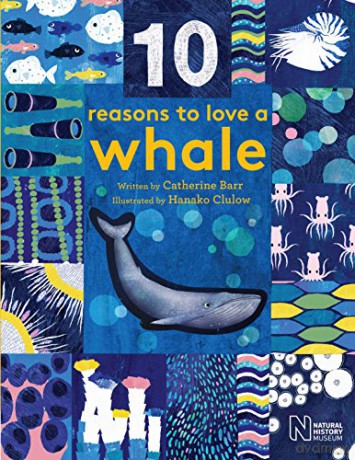 10 Reasons to Love a... Whale - Catherine Barr [KSIĄŻKA]