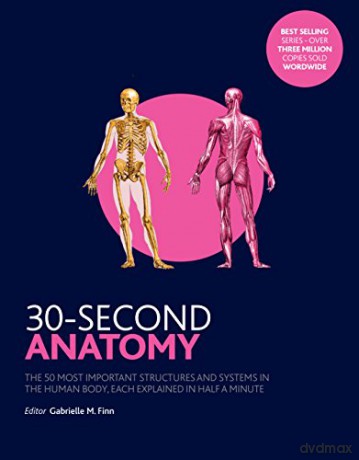 30-Second Anatomy: The 50 Most Important Structures and Systems in the Human Body, Each Explained in Half a Minute - Gabrielle M. Finn [KSIĄŻKA]