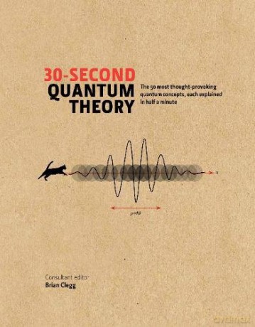 30-Second Quantum Theory: The 50 most thought-provoking quantum concepts, each explained in half a minute - Sharon Ann Holgate [KSIĄŻKA]