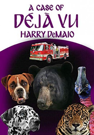 A Case of Déja Vu (Octavius Bear Book 13) (13) - Harry DeMaio [KSIĄŻKA]