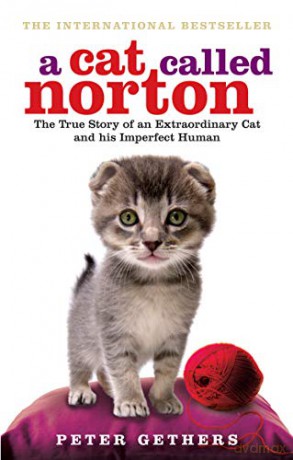 A Cat Called Norton - Peter Gethers [KSIĄŻKA]