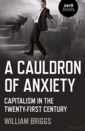 A Cauldron of Anxiety: Capitalism in the twenty-first century - William Briggs [KSIĄŻKA]