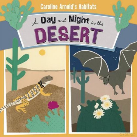 A Day and Night in the Sonoran Desert (Caroline Arnold's Habitats) - Caroline Arnold [KSIĄŻKA]