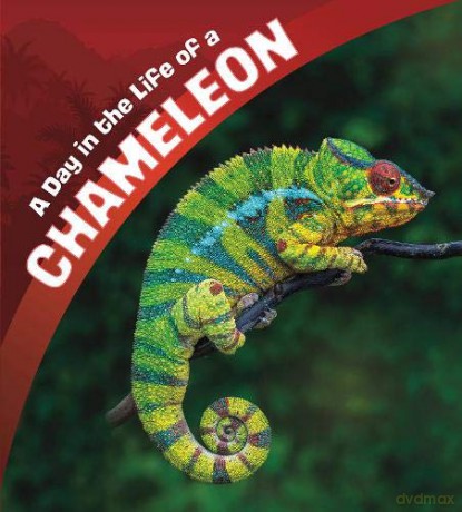 A Day in the Life: A Day in the Life of a Chameleon - Lisa J. Amstutz [KSIĄŻKA]