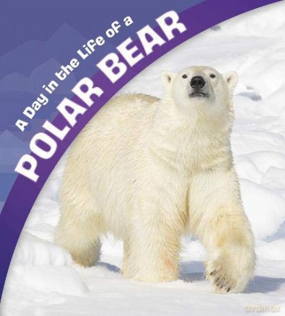 A Day in the Life: A Day in the Life of a Polar Bear - Sharon Katz Cooper [KSIĄŻKA]