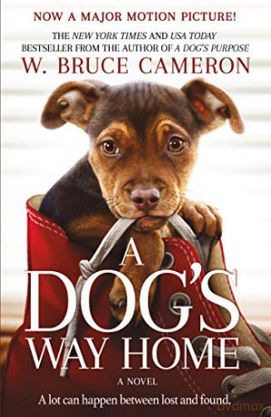 A Dog's Way Home Movie Tie-In: 1 (Dog's Way Home Novel) - W. Bruce Cameron [KSIĄŻKA]
