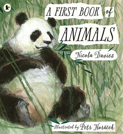 A First Book of Animals: 1 - Nicola Davies [KSIĄŻKA]