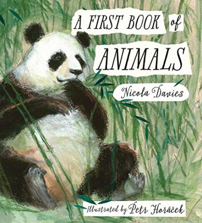 A First Book of Animals: 1 - Nicola Davies [KSIĄŻKA]