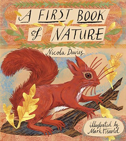 A First Book of Nature: 1 - Nicola Davies [KSIĄŻKA]