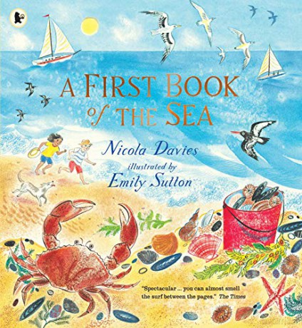 A First Book of the Sea - Nicola Davies [KSIĄŻKA]