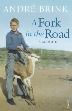 A Fork in the Road - André Brink [KSIĄŻKA]
