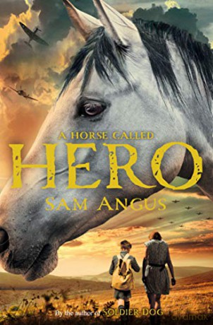 A Horse Called Hero - Sam Angus [KSIĄŻKA]