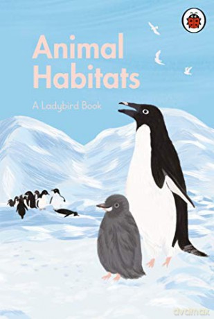 A Ladybird Book: Animal Habitats - Ayang Cempaka [KSIĄŻKA]