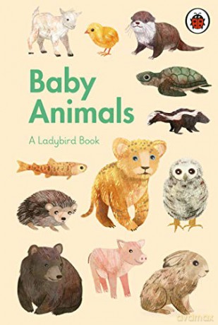 A Ladybird Book: Baby Animals - Stephanie Fizer Coleman [KSIĄŻKA]