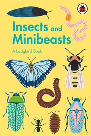 A Ladybird Book: Insects and Minibeasts - Amber Davenport [KSIĄŻKA]