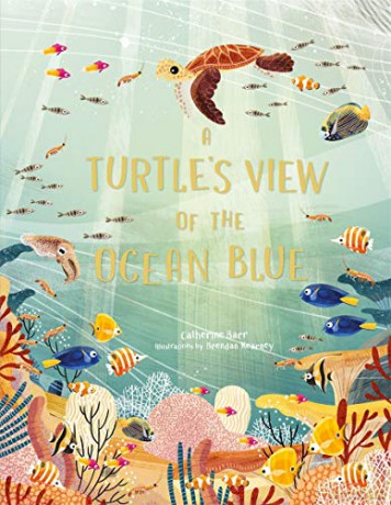 A Turtle's View of the Ocean Blue - Catherine Barr [KSIĄŻKA]