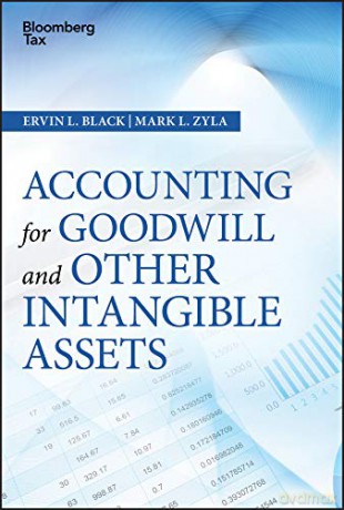 Accounting for Goodwill and Other Intangible Assets (Wiley Corporate F&A) - Mark L. Zyla [KSIĄŻKA]
