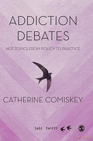 Addiction Debates: Hot Topics from Policy to Practice (SAGE Swifts) - Catherine Comiskey [KSIĄŻKA]
