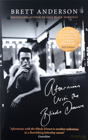 Afternoons with the Blinds Drawn - Brett Anderson [KSIĄŻKA]