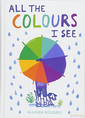 All The Colours I See - Allegra Agliardi [KSIĄŻKA]