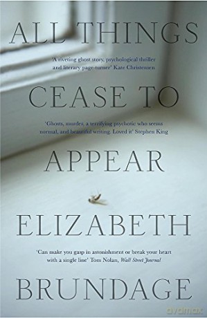 All Things Cease to Appear: now a major Netflix new release Things Heard and Seen - Elizabeth Brundage [KSIĄŻKA]