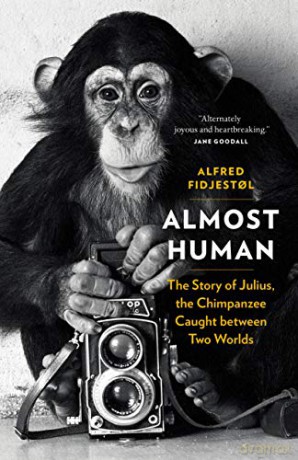 Almost Human: The Story of Julius, the Chimpanzee Caught between Two Worlds - Alfred Fidjestol [KSIĄŻKA]