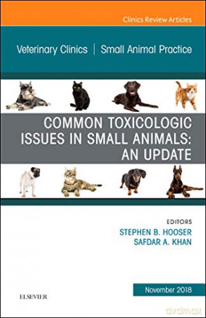 Alternatives to Opioid Analgesia in Small Animal Anesthesia, An Issue of Veterinary Clinics of North America: Small Animal Practice (Volume 49-6) (The Clinics: Veterinary Medicine, Volume 49-6) - Ciara A Barr [KSIĄŻKA]