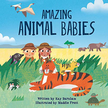 Amazing Animal Babies (Look and Wonder) - Kay Barnham [KSIĄŻKA]